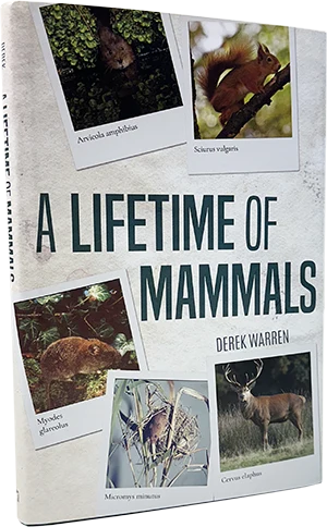 Picture of the book