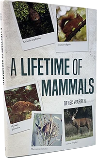 Picture of the book